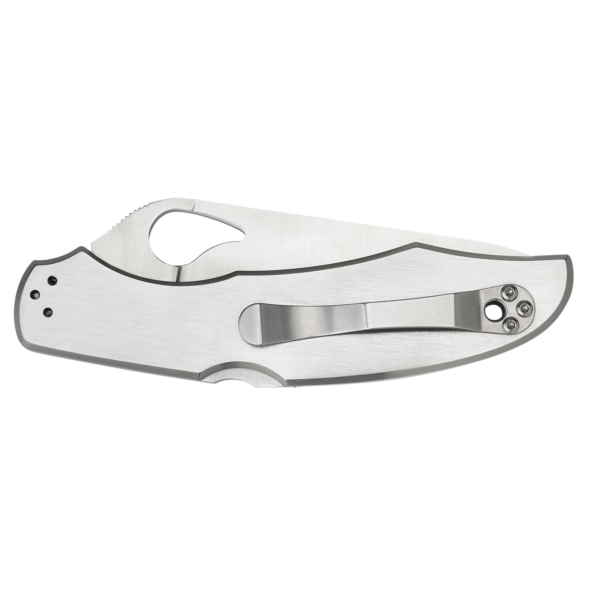 SPYDERCO BYRD CARA CARA 3.87 COMBO - Image 2